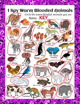 Animal Classification Worksheets Warm and Cold Blooded I Spy Fun