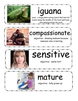 Preview of I Wanna Iguana Vocabulary Cards