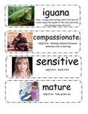 I Wanna Iguana Vocabulary Cards