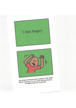 Preview of I am Angry