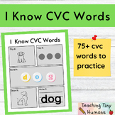 I know CVC Words