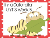 I'm A Caterpillar! First Grade Reading Street FLIPCHART Un