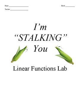 Preview of I'm Stalking You - Linear Functions and Statistics Lab