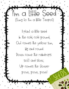 I'm a Little Seed Fingerplay for Preschool, Pre-k, and Kindergarten