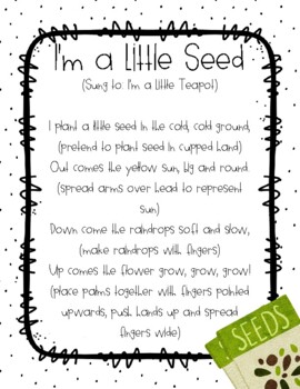 I'm a Little Seed Fingerplay for Preschool, Pre-k, and Kindergarten