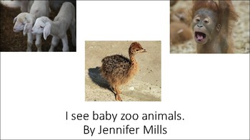 Preview of baby zoo animals big book