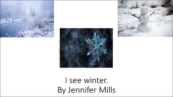 Preview of Winter I see book