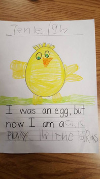 Preview of I used to be an egg writing