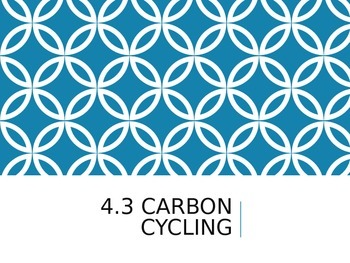 Preview of IB Biology - 4.3 - Ecology - Carbon Cycling - PowerPoint Presentation