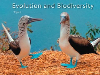 Preview of IB Biology - 5.1 - Evolution - Evidence of Evolution - PowerPoint Presentation