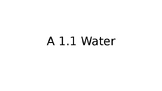 IB Biology: A 1.1 Water SL & HL