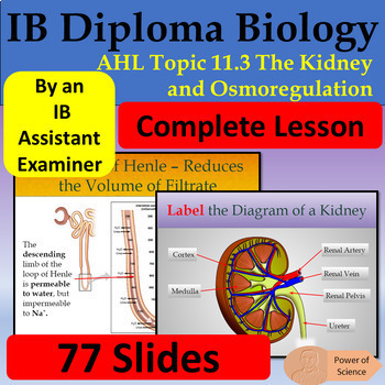 Preview of IB Biology AHL Topic 11.3 The Kidney and Osmoregulation - 77 Google Slides