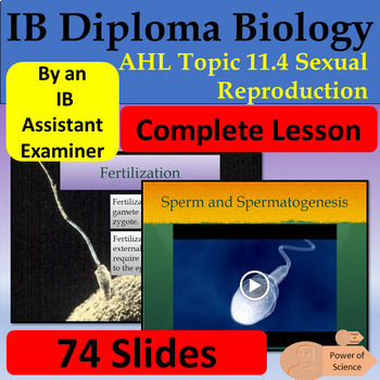 Preview of IB Biology AHL Topic 11.4 Sexual Reproduction - 74 Slides - IB Diploma Biology