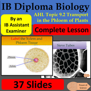 Preview of IB Biology AHL Topic 9.2 Transport in the Phloem of Plants - 37 Google Slides