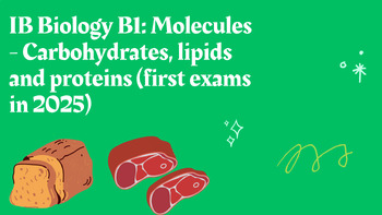 Preview of IB Biology B1: Carbohydrates, lipids and proteins (first exams in 2025) Bundle