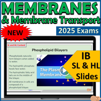 Preview of IB Biology B2.1 Membranes and Membrane Transport - First Exams 2025