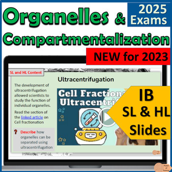Preview of IB Biology B2.2 Organelles and Compartmentalization - First Exams 2025