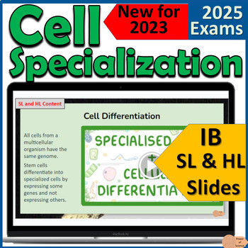 Preview of IB Biology B2.3 Cell Specialization - First Exams 2025