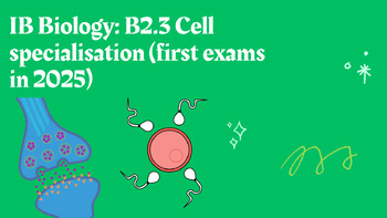 Preview of IB Biology: B2.3 Cell specialisation (first exams in 2025)