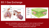 IB Biology B3.1 Gas Exchange slideshow