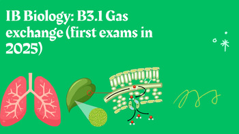 Preview of IB Biology: B3.1 Gas exchange (first exams in 2025)