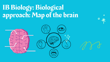 Preview of IB Biology: Biological approach: Map of the brain