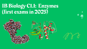 Preview of IB Biology C1.1: Enzymes (first exams in 2025)