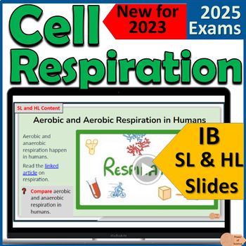 Preview of IB Biology C1.2 Cell Respiration- IB Diploma First Exams 2025