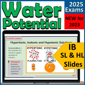 Preview of IB Biology D2.3 Water Potential - IB Diploma First Exams 2025