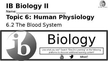 Preview of IB Biology Human Physiology 6.2 Video Lecture Student Handout (video link below)