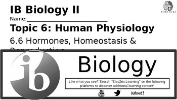 Preview of IB Biology Human Physiology 6.6 Video Lecture Student Handout (video link below)