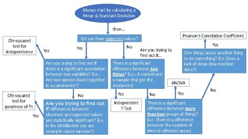 Preview of IB Biology: Internal Assessment Statistical Analysis Decision Tree
