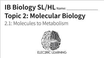 Preview of IB Biology Molecular Biology 2.1 Video Lecture Student Handout (link below)