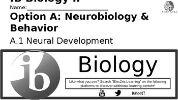 Preview of IB Biology Neurobiology A.1 Video Lecture Student Handout (video link below)