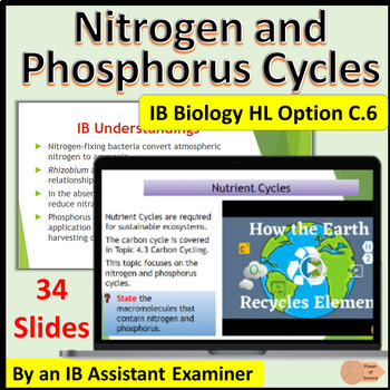 Preview of IB Biology Option C.6 Nitrogen and Phosphorus Cycles - HL Only - No Prep Slides