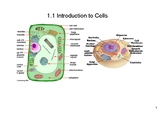 Cell Theory SMART Notebook File (IB Biology Topic 1.1)