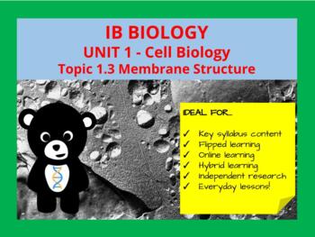 Preview of IB Biology: Topic 1.3 Membrane Structure