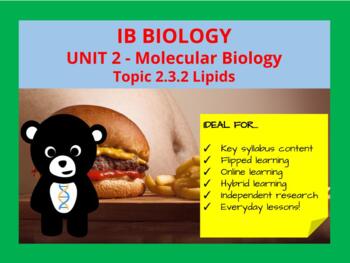 Preview of IB Biology: Topic 2.3.2 Lipids
