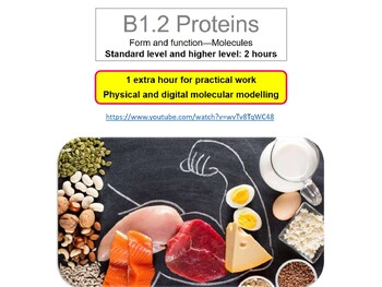 Preview of IB DP Biology B1.2 Proteins topic. Presentation & Workbook.