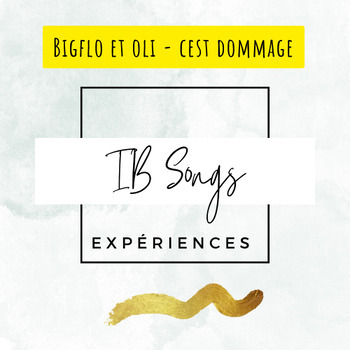 Preview of FLE IB DP Francais B Experiences chanson activités - Bigflo et oli Cest Dommage