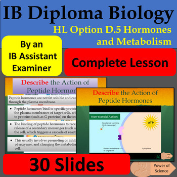 Preview of IB Diploma Biology - HL Option D.5 Hormones and Metabolism - 30 Slides