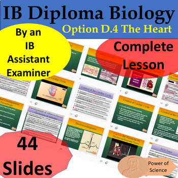 Preview of IB Diploma Biology - Option D.4 The Heart - 44 Google Slides - by an IB Examiner