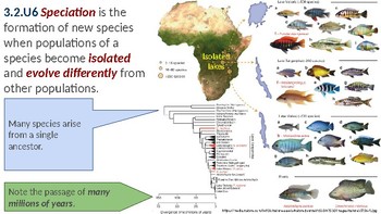 Preview of IB ESS Topic 3.2 Origins of Biodiversity