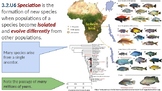IB ESS Topic 3.2 Origins of Biodiversity