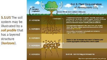 Soil Systems, Free Full-Text