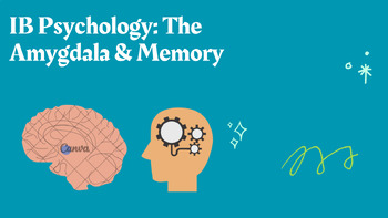 Preview of IB Pscychology: The amygdala & memory