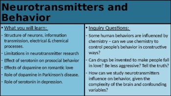 effect of neurotransmitters on human behavior