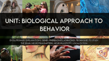 Preview of IB Psychology: Biological Approach to Behavior Bundle