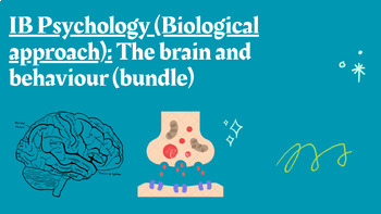 Preview of IB Psychology (Biological approach): The brain and behaviour (bundle)