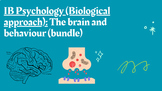 IB Psychology (Biological approach): The brain and behavio